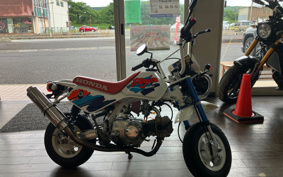 HONDA MONKEY Z50J