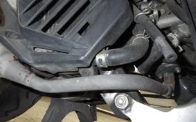HONDA BENLY 50 AA05