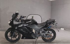 KAWASAKI NINJA250R EX250K