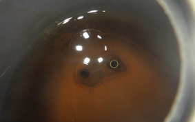 HONDA C50 SUPER CUB 2022 AA01