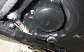 TRIUMPH BONNEVILLE SPEED 2024