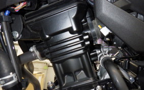 KAWASAKI VERSYS 250 A 1973 LE250D