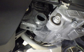 HONDA TACT Basket 2023 AF79