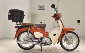 HONDA C110 SUPER CUB JA59