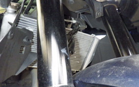 YAMAHA YZF-R25 A 2015 RG74J