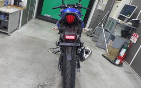 SUZUKI GSX250 R 2024