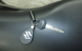 SUZUKI GSX-R125 2015 DL33B