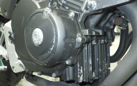 HONDA HORNET 250 2009 MC31