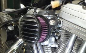 OTHER +UNREGISTERED MODEL by BDS883 2026