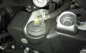 YAMAHA MT-25 A RG74J