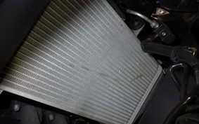 YAMAHA YZF-R25 A 2024 RG74J