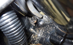 YAMAHA SR400 Gen.5 2019 RH16J