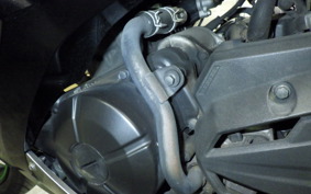 KAWASAKI NINJA 250 ABS 2025 EX250L