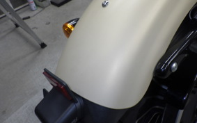 HARLEY XL883N 2014