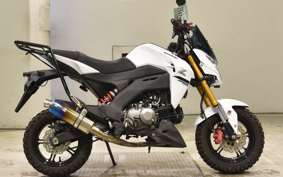 KAWASAKI Z125 PRO BR125H