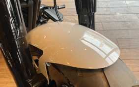 HARLEY FLFB 2025 YF9