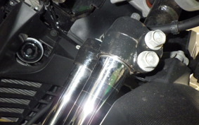 YAMAHA TRICITY 300 2021 SH15J