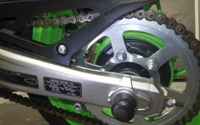 KAWASAKI ZX-4RR 2024 ZX400P