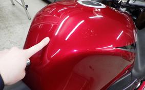 SUZUKI GSX1300R HAYABUSA 2007