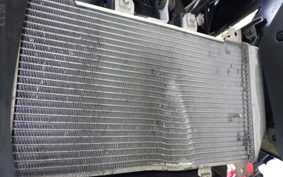 KAWASAKI NINJA 250 EX250Y