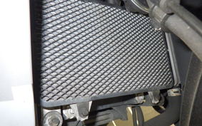 KAWASAKI VERSYS X250Aﾂｱﾗｰ 2022 LE250D