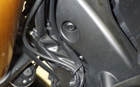 YAMAHA MT-09 ASP 2019 RN52J