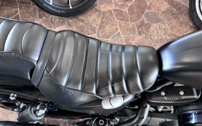 HARLEY XL883N 2016 LE2