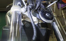 HONDA VTR 250 Gen. 2 2006 MC33