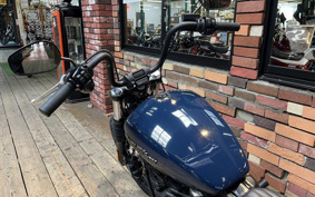 HARLEY FXBB 2018 YJJ