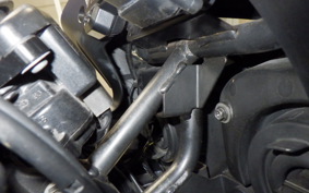 YAMAHA FZ1 FAZER 2009 RN21J
