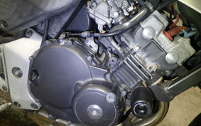 HONDA HORNET 250 2020 MC31