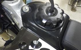 KAWASAKI KX250 F 2019 KX250Y