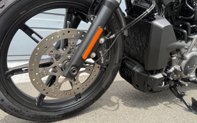 HARLEY  HARLEY RH975 NIGHT  STAR  2022 ZH1