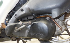 HONDA DIO CESTA AF34