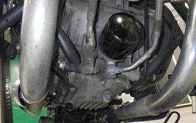 OTHER +ENFIELD SUPER ﾒﾃｵ650 2025
