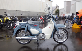 HONDA  SUPER CUB C125 JA48