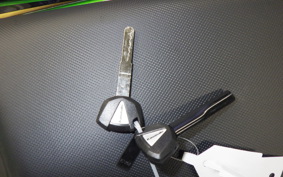 KAWASAKI NINJA1100SX 2025 ZXT10H