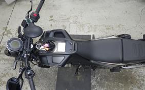 HUSQVARNA SVARTPILEN 401 2024
