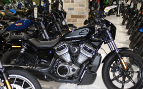 HARLEY  HARLEY RH975 NIGHT  STAR  2023 ZH1