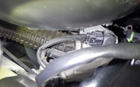 YAMAHA CYGNUSｸﾞﾘﾌｧｽ 2024 SEJ4J