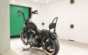 OTHER +HD. XL1200N 2011