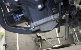 YAMAHA MT-25 RG10J
