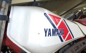 YAMAHA TY250 2013 53Y