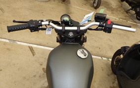OTHER MUTT250