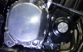 KAWASAKI Z900RS 2021 ZR900C