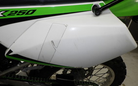 KAWASAKI KLX250 Gen.2 2000 LX250S