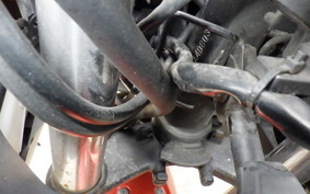 KAWASAKI NINJA 250 EX250L