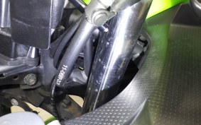 KAWASAKI NINJA 250 2 2025 EX250Y