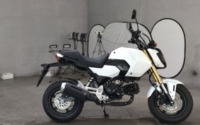 HONDA GU ROM JC92
