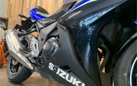 SUZUKI GSX250 R DN11A